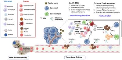 Trained immunity inducers in cancer immunotherapy